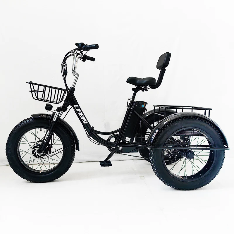 Three Wheels Adult Cargo Electric Bike 20 Inch Triciclo Electric Trike 350W Motor foldable alloy frame 3 Wheel E Bike Tricycle