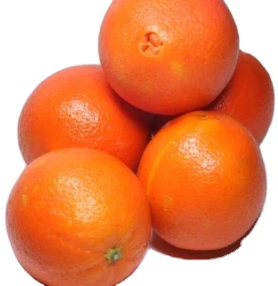 Fresh ORGANIC ORANGE 2021 BEST PRICE Washington Navelina Navelate Valencia Cara Cara Fukumato Navel Ready to Export
