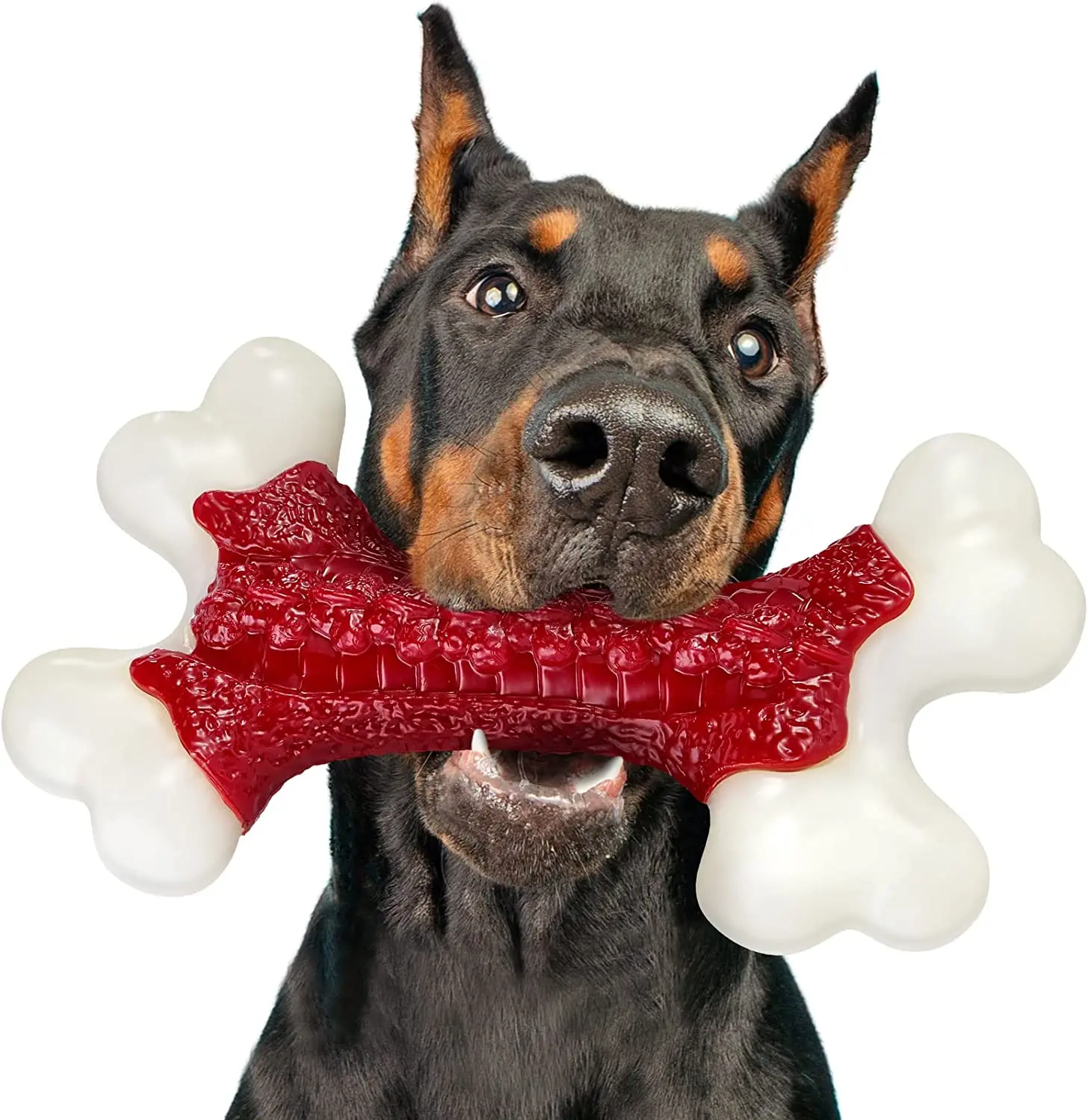 Fondopet Dog Bone Chew Toy Nylon Durable Dog Toys for Large Dogs