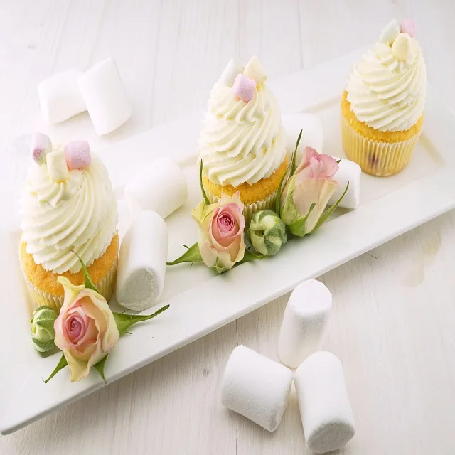 
non-dairy whipping cream 