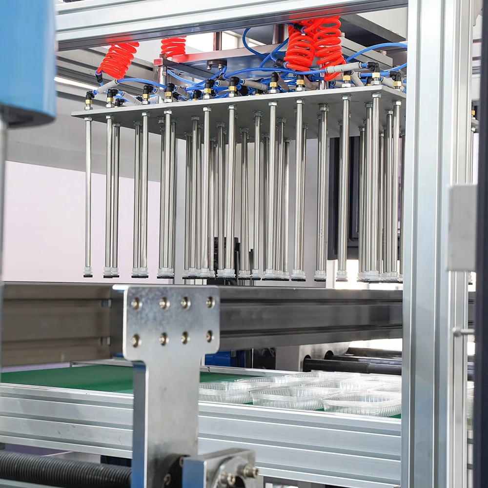 Machine To Manufacture Plastic Egg Trays Disposable Food Tray