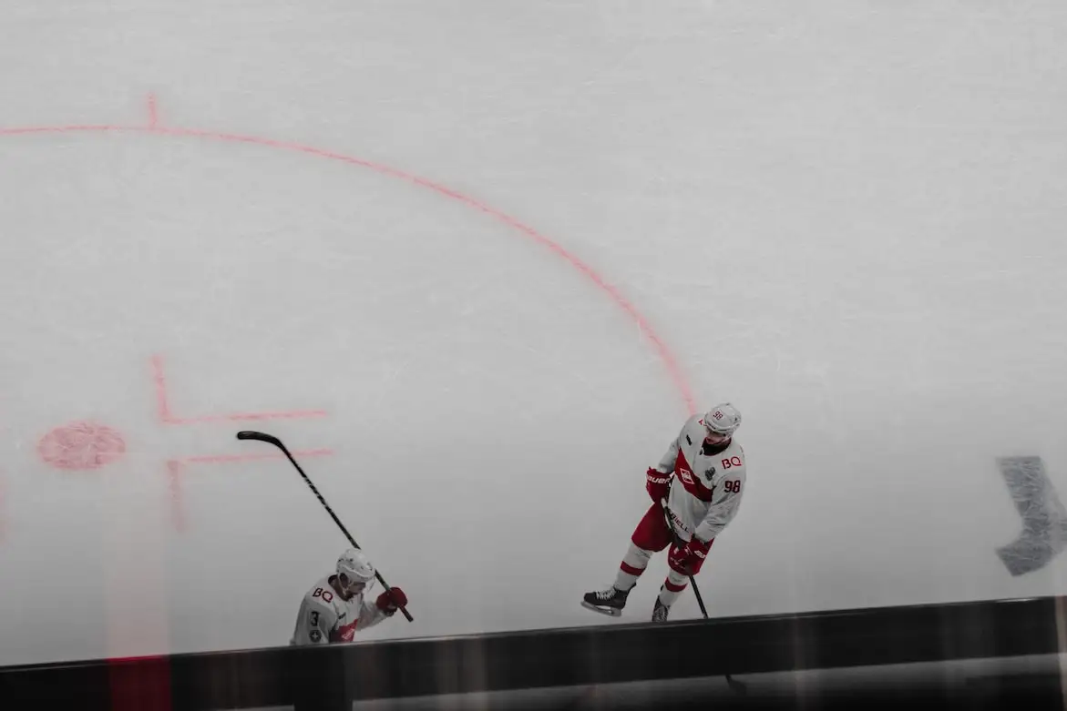 Custom Convenience Flexible Synthetic Indoor Outdoor Ice Skating Rinks Floorboard Ice Rink Dasher Board