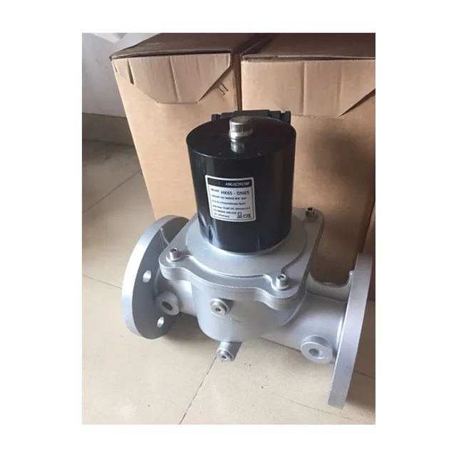 HK65-2 DN65 New and Orignal Gas Solenoid valve