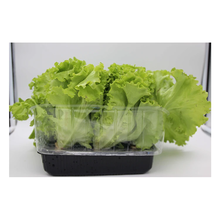 High Grade Wholesale Planting Tray Nursery Trays Garden Stuff Planting Pot