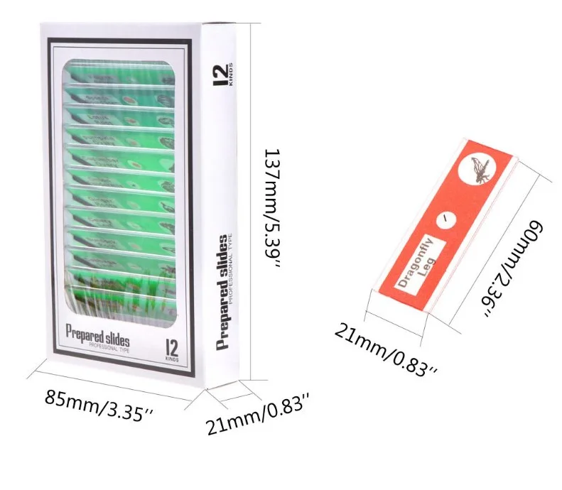  48pcs Different Prepared Plastic Microscope Slides for Homeschool