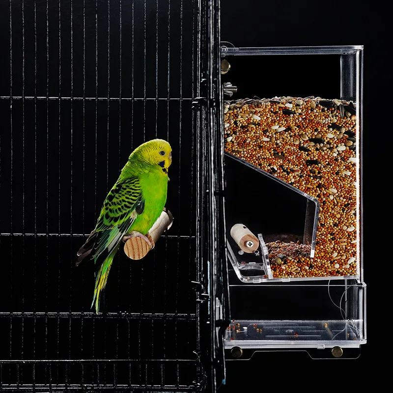 2021 Hot sales transparent Automatic feeding Bird Feeder Acrylic Cage pigeon feeding box parrot feeder