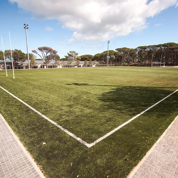 Green epdm rubber granules/black sbr granules fill artificial grass for football soccer fields