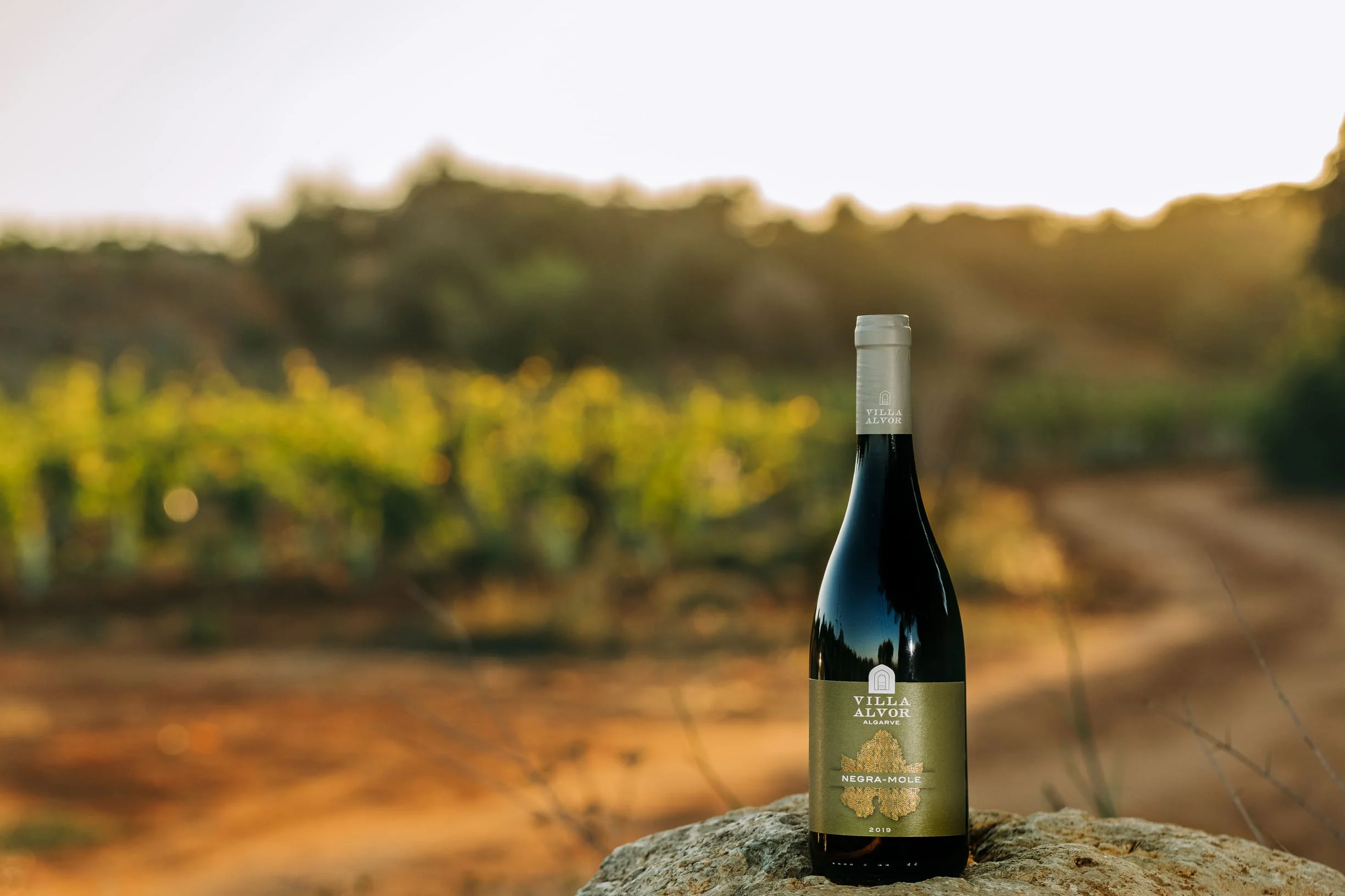 Высококачественный подарочный набор Villa Alvor Negra родинка 6x75cl товары для вина алкогольные