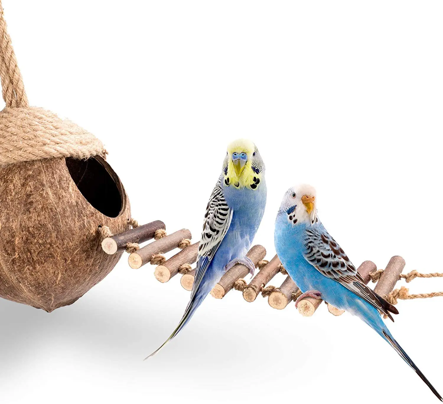 Hamster parrot honey bag glider coconut shell nest coconut shell breeding nest climbing landscape supplies