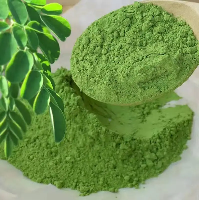 Hot selling top quality moringa oleifera leaf powder / 100% Natural organic Spicy wood leaf powder