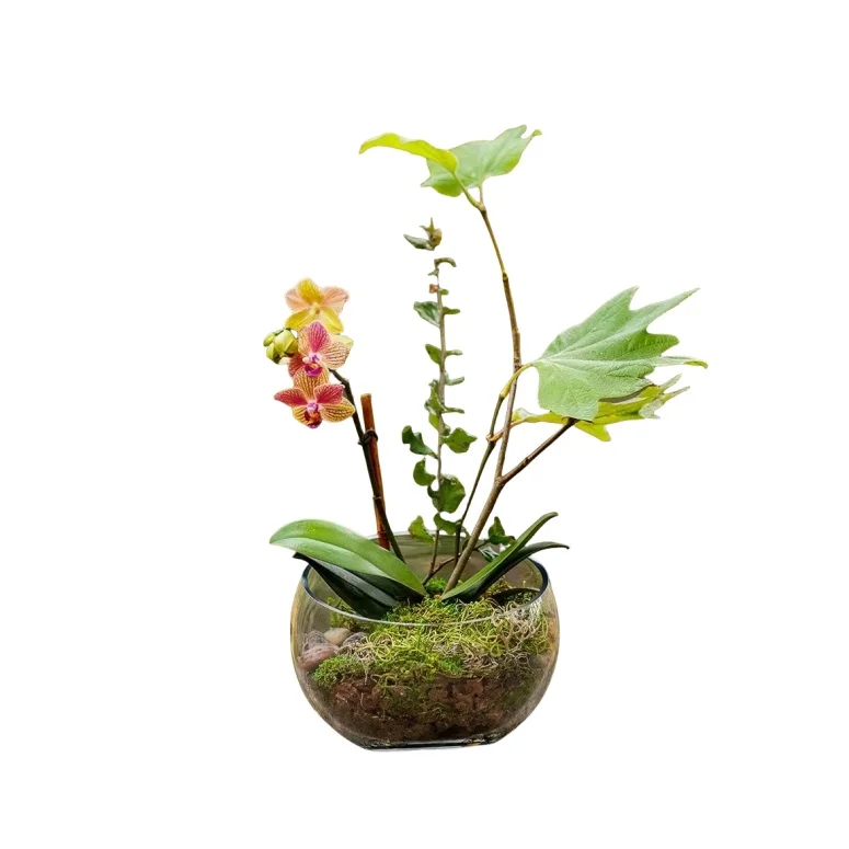 Forest Terrarium Kit For Home Decor Terrarium Potted Plants Bocal Terrarium Plante