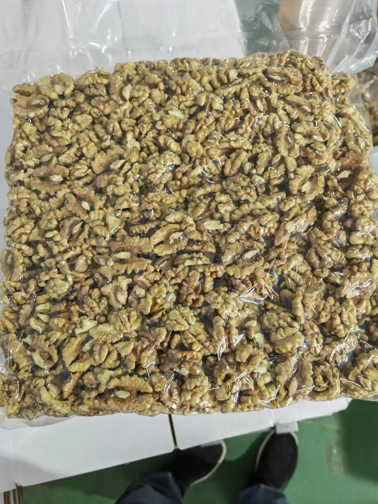 Excellent quality Thin-skin Raw Walnut with shell in bulk wholesale