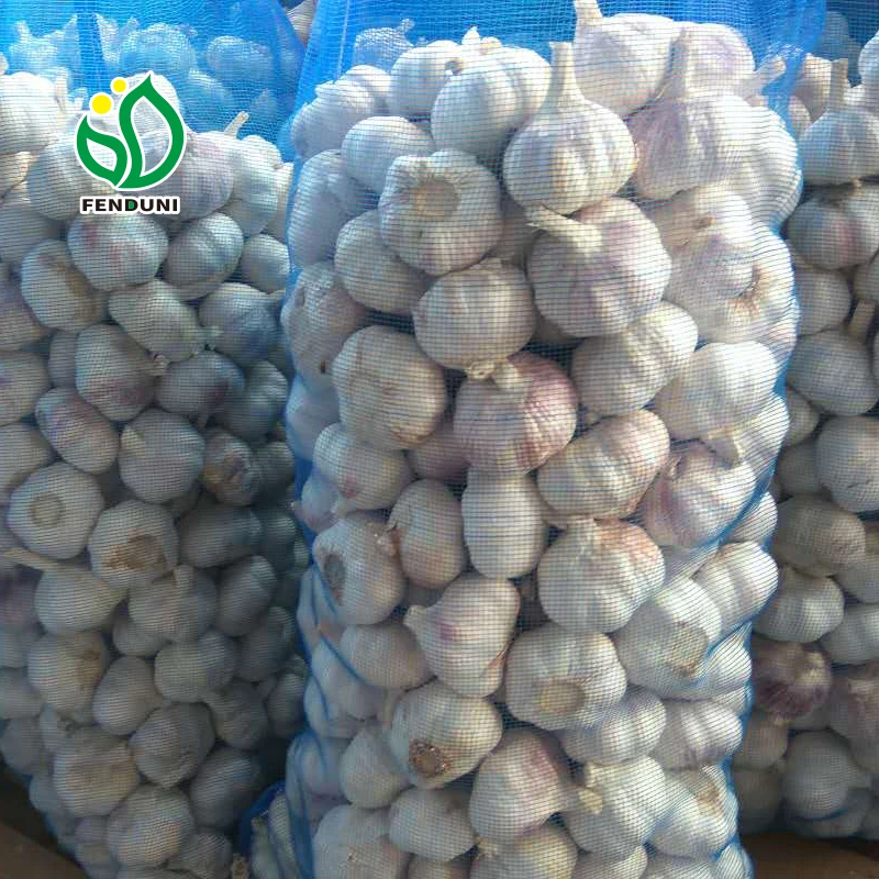 Quality Fresh Normal White Galic Ajo Fresco Purple Garlic Red Garlic With 10kg/20kg mesh bag