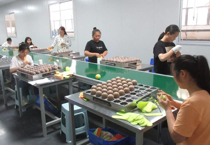 Professional Manufacturer Custom ITF Approved Standard Needle Felt Acrylic Beach Tennis Balls