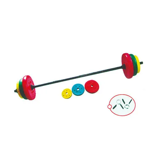 Reapbarbell Hot-selling pe box packing standard gym equipment cement dumbbell set