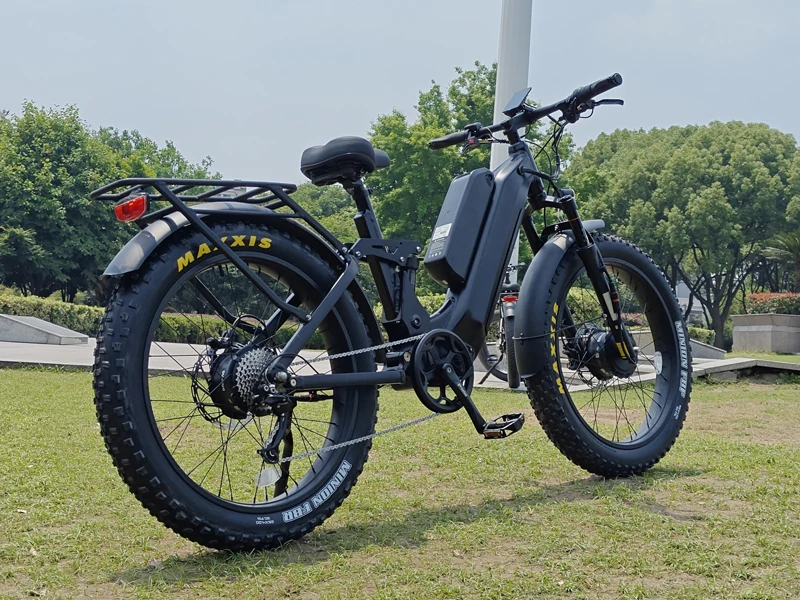 ebike 3.jpg