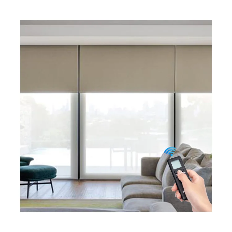 Solar Panel White Automatic Remote Vertical Canada Wifi Smart Roller Blinds Motor Fabric Double Layer Roller Shades