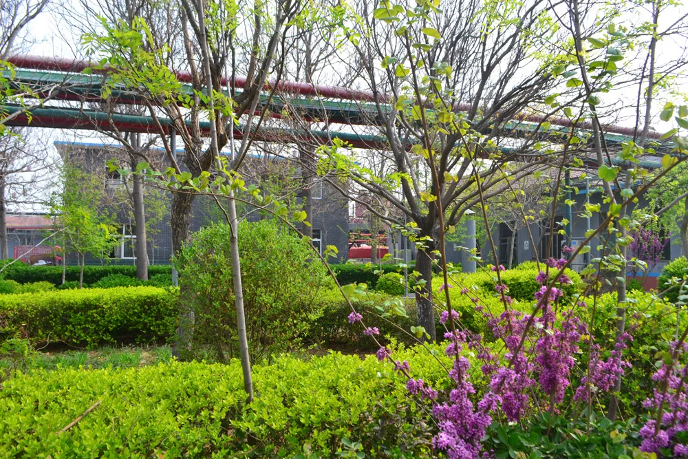 
49-51% Manganese Nitrate solution,liquid, Mn(NO3)2, CAS#10377-66-9 