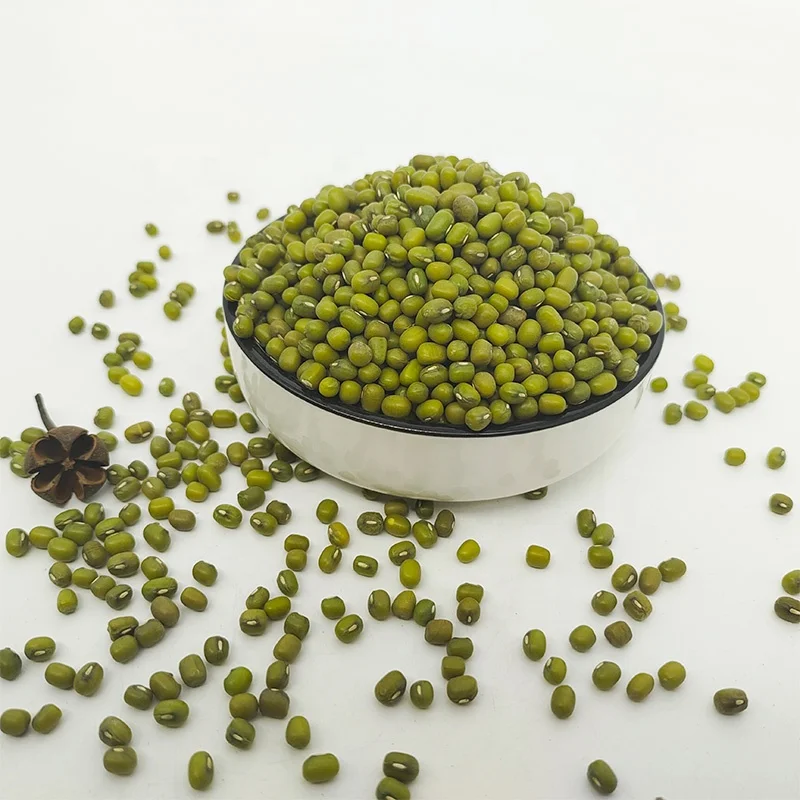 Wholesale Small Size 2.6mm-3.5mm High Quality Green Vigna Mung Beans
