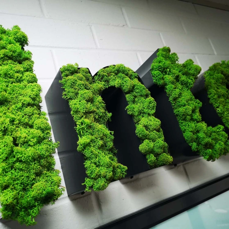 Custom Moss Sign Letters Moss Company logo Fillable Metal Letter Moss Logo Sign for Wall Decoration