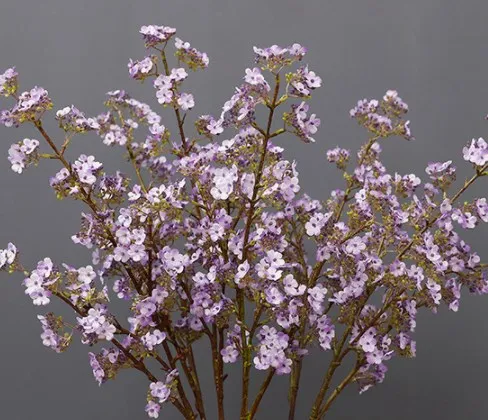 Factory cheap real touch artificial wholesale flowers cherry blossom branch decorative silk flowers branch for home decor