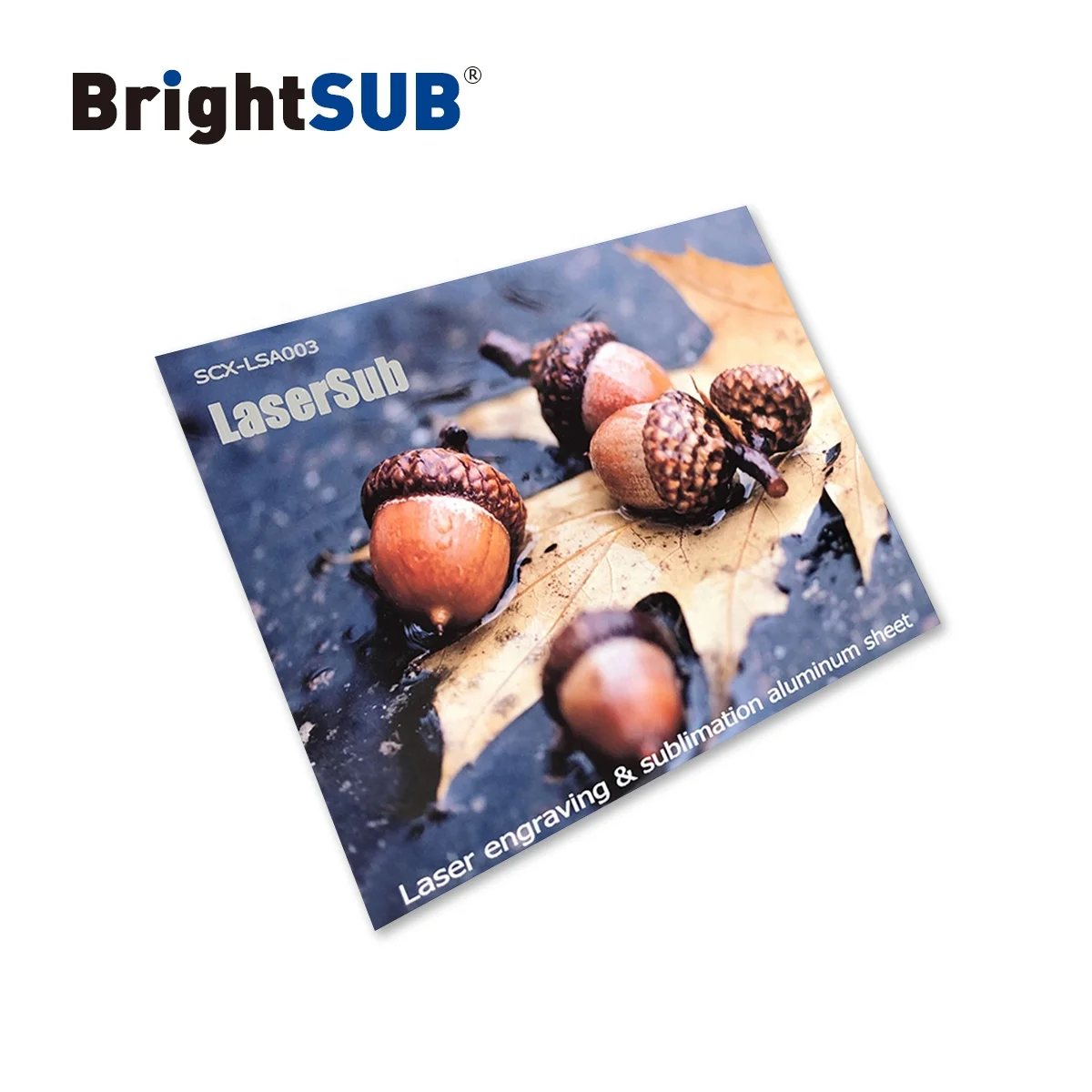 LaserSub Aluminum sheet gloss white sublimation metal blank laserable metal glossy coated sheets heat transfer picture printing