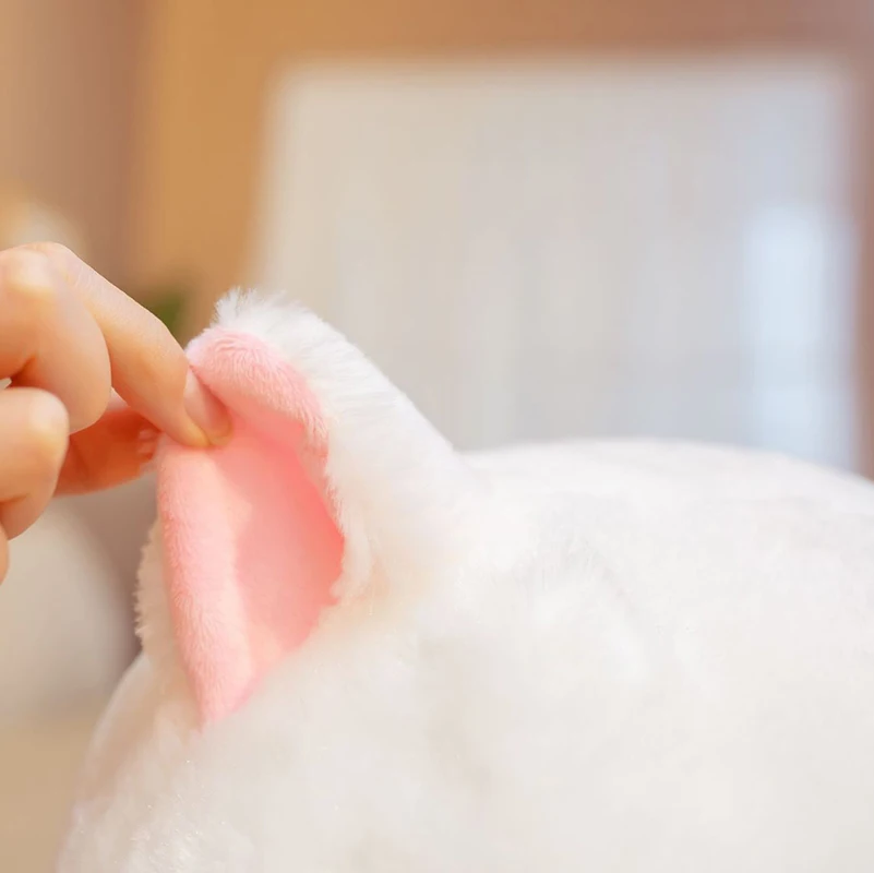 Top Quality 32CM 100% Polyester Logo Customized Kitty Cat Plush Toy Animals Wholesale Toy From China