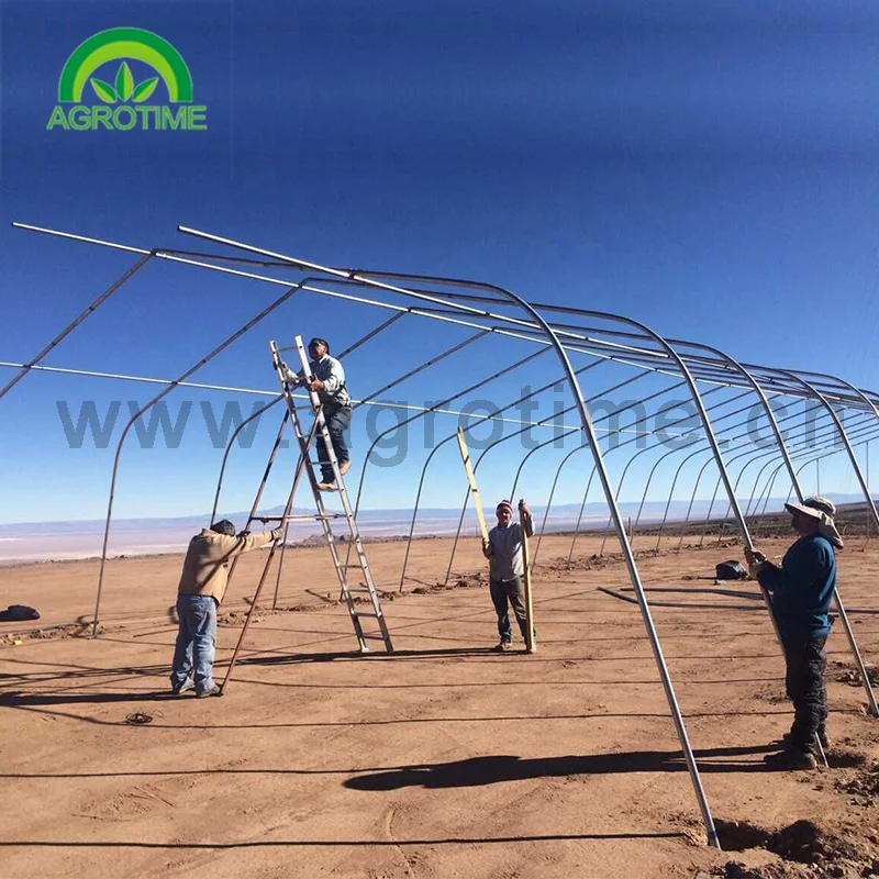 low cost greenhouse Easily Assembled hot galvanized steel pipe Greenhouses for