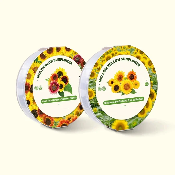 Vibrant Sunflower & Kaleidoscope Organic Seed Kit 12 Varieties for Flower Pots & Planters