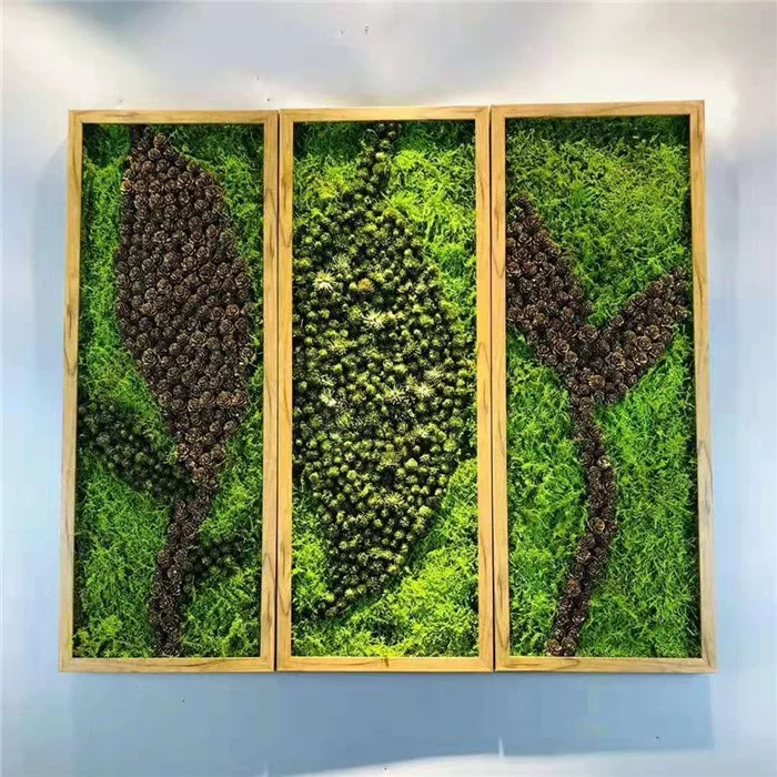 High Quality Real Natural Soft Everlasting Preserved Moss Wall Hanging Framed Green Moss