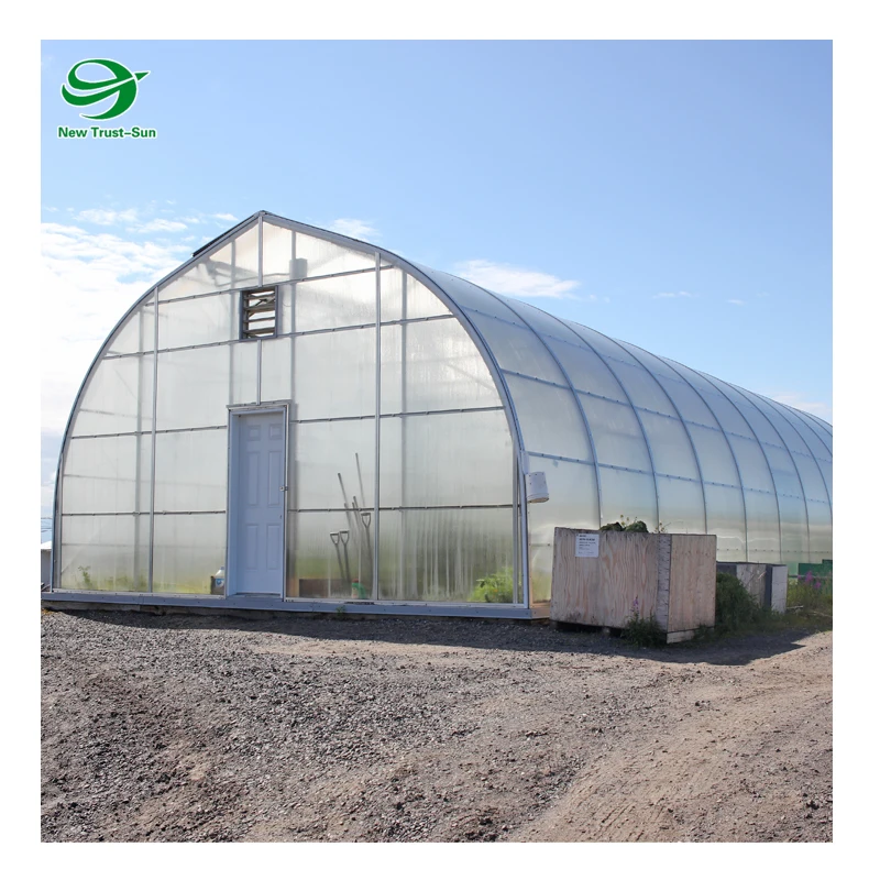 
Low Cost High Quality Tunnel Commercial Used Aquaponic Single-span Greenhouses 