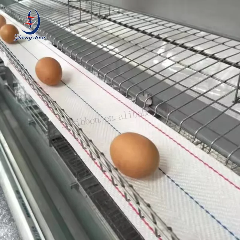 Customized Size Egg Collection Belt/Egg Conveyor Belt  For Animal Husbandry Machinery