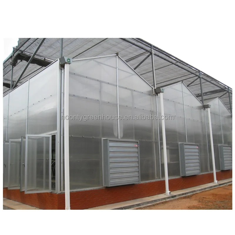Modern venlo Polycarbonate Glass farming greenhouse Multi-Span Commercial pc sheet Greenhouses Prefab green house overall system