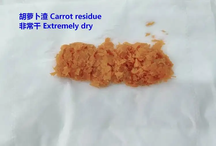 new arrival masticating juicer ROHS CE ETL LFGB approval masticating extractor high juice yield for household use