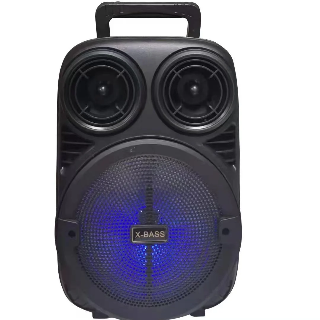 OEM Portable Card Wireless Speaker 6.5 Inch Wireless BT Subwoofer Speaker with Microphone Grip