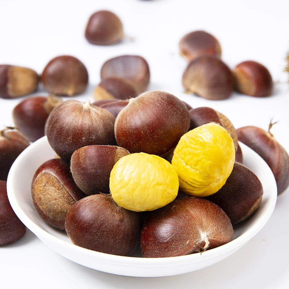 Wholesale fresh Chestnut Raw easy peel sweet chestnuts organic snack food