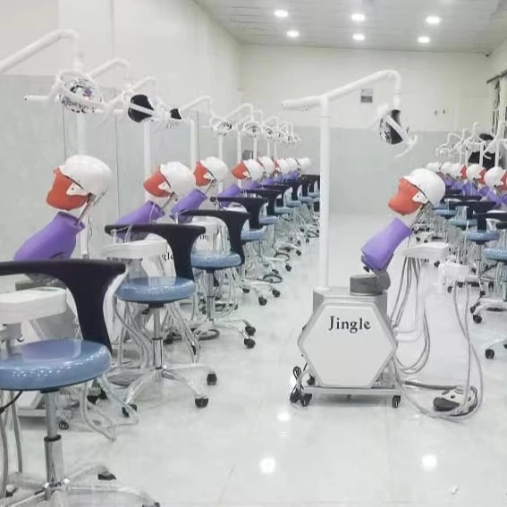 Dental Education Simulation Models for University Training Teaching model