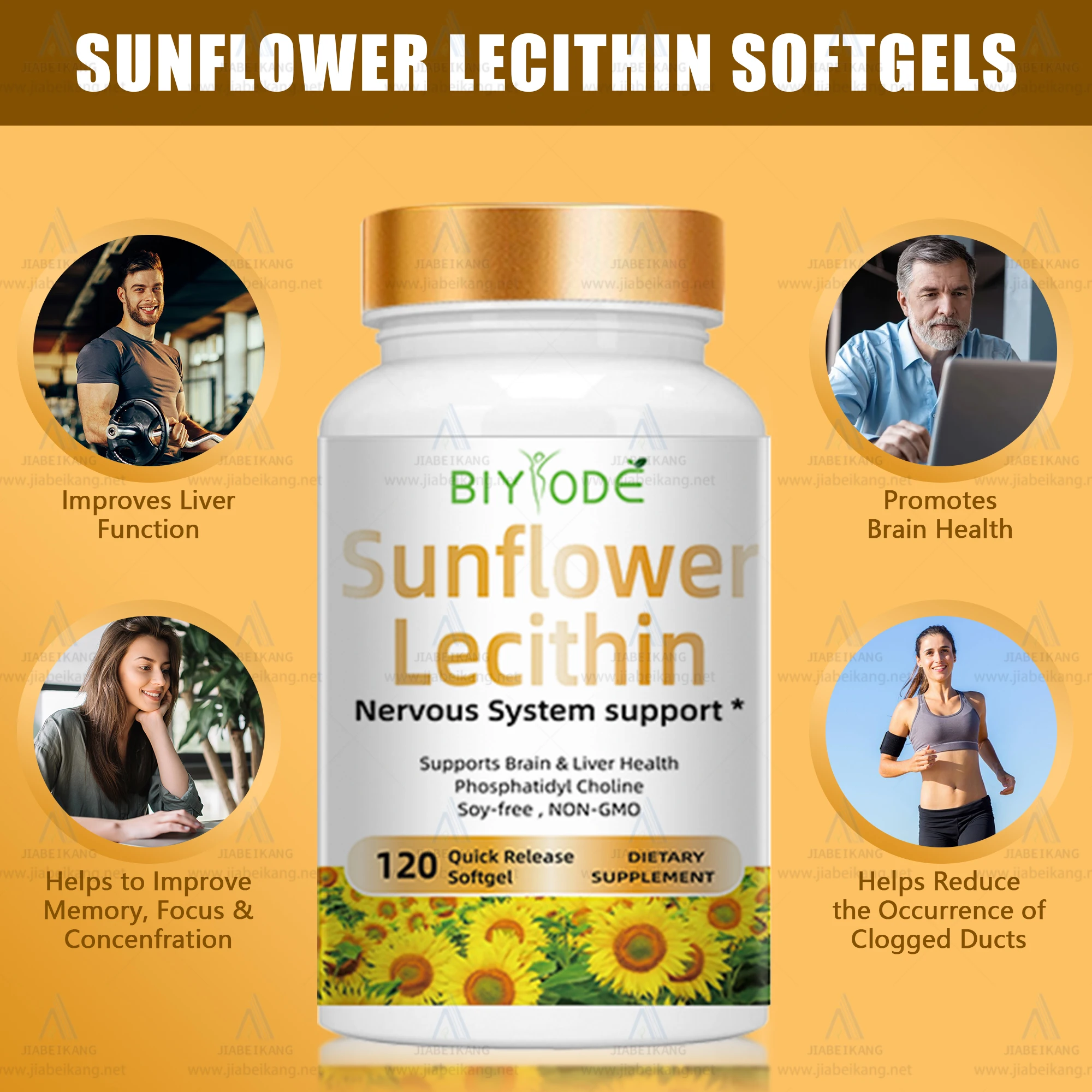 Professional wholesale herbal sunflower lecithin improve focus memory brain supplement nervous energy help softgel capsule