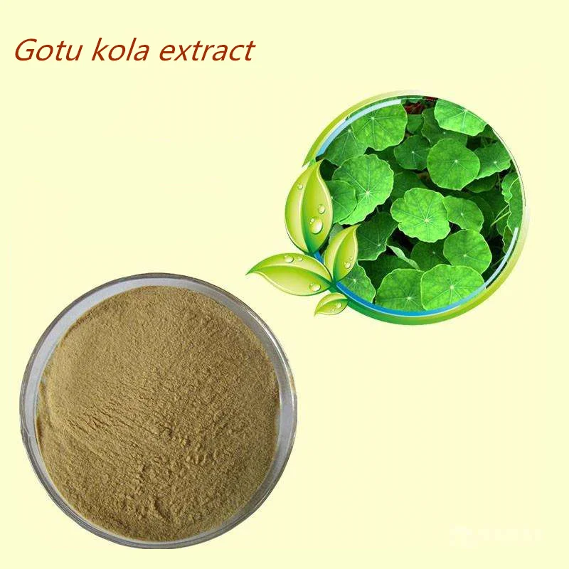 Поставка gotu kola экстракт 10 всего asiaticoside