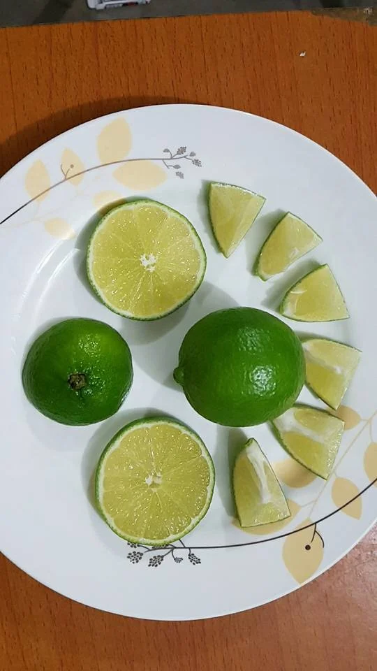 2022 Wholesale Fresh lemon/Fresh Green Seedless Lime and High Juicy Fresh Lime Seedless Origin Vietnam with Packing Box