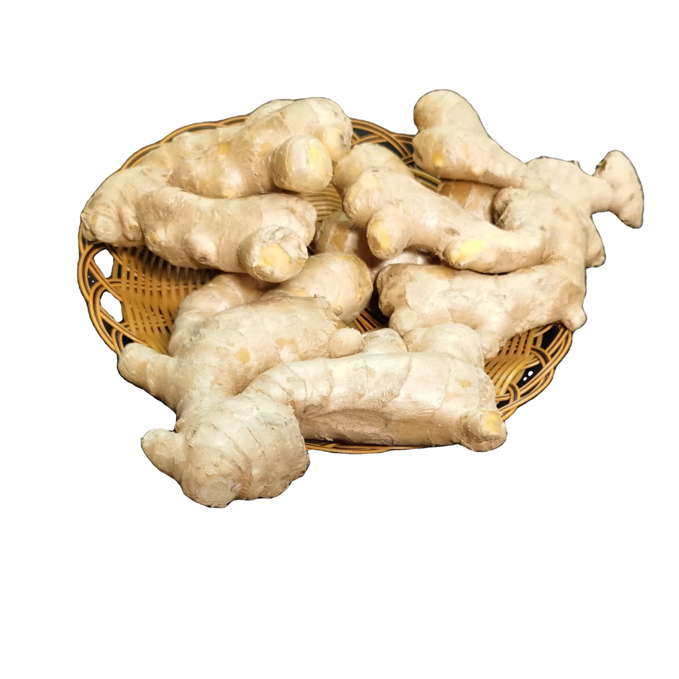 
The fresh ginger with the competitive price 