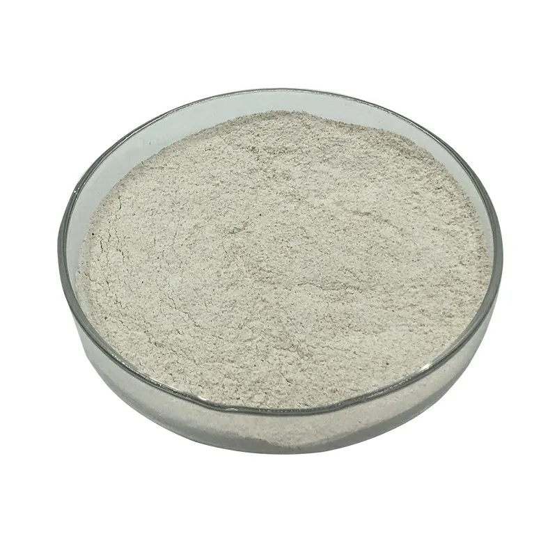 Best price feed grade bacillus subtilis powder bacillus subtilis for fish