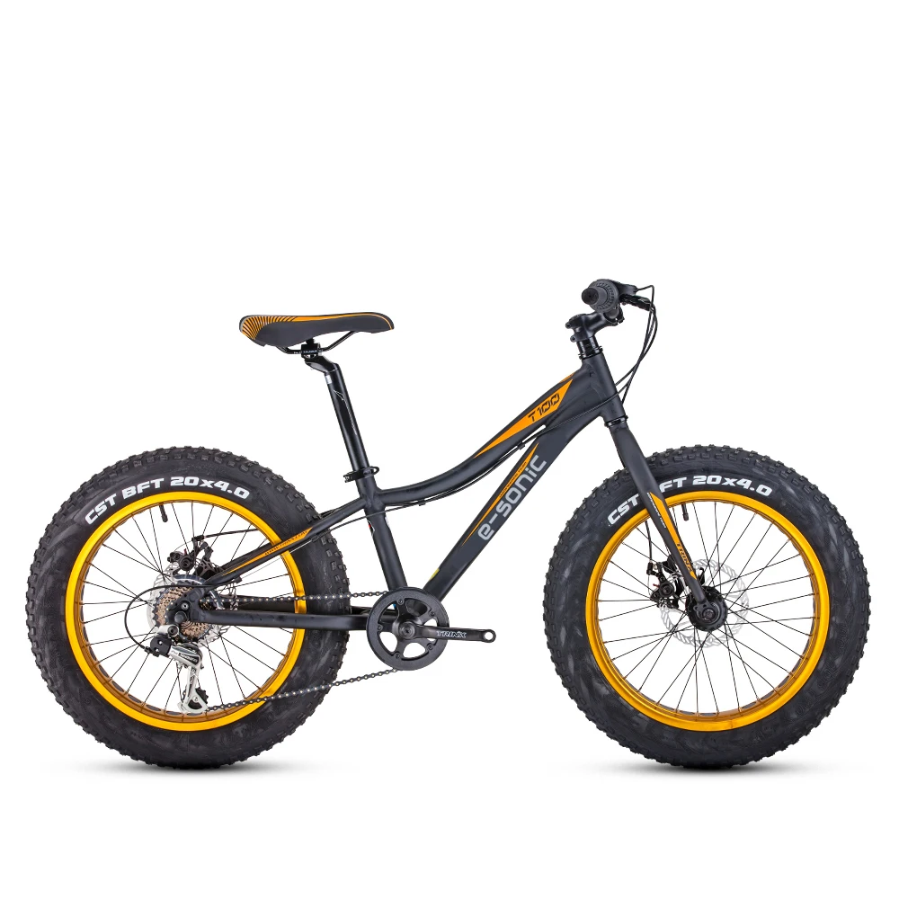 
TIGER T100 mini 20 inch aluminium alloy frame fat tire bike 7 speed beach cruiser snow beach bike mountain bike with fat tire 