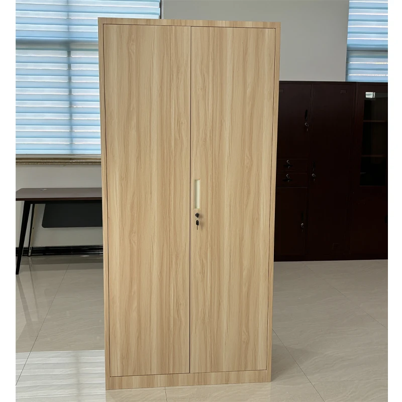 Direct Factory Sale Modern Design 2 Door Metal Wardrobe Storage Cabinet Knock-Down Steel Locker with Hanging Rod
