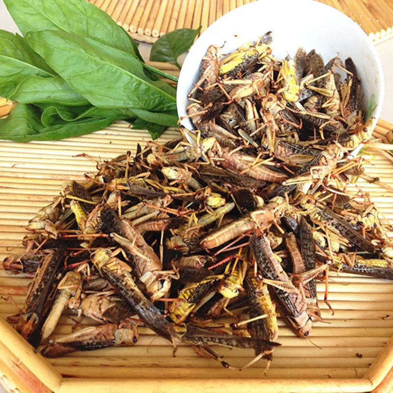 
Factory Sell organic dog treats dried grasshopper 