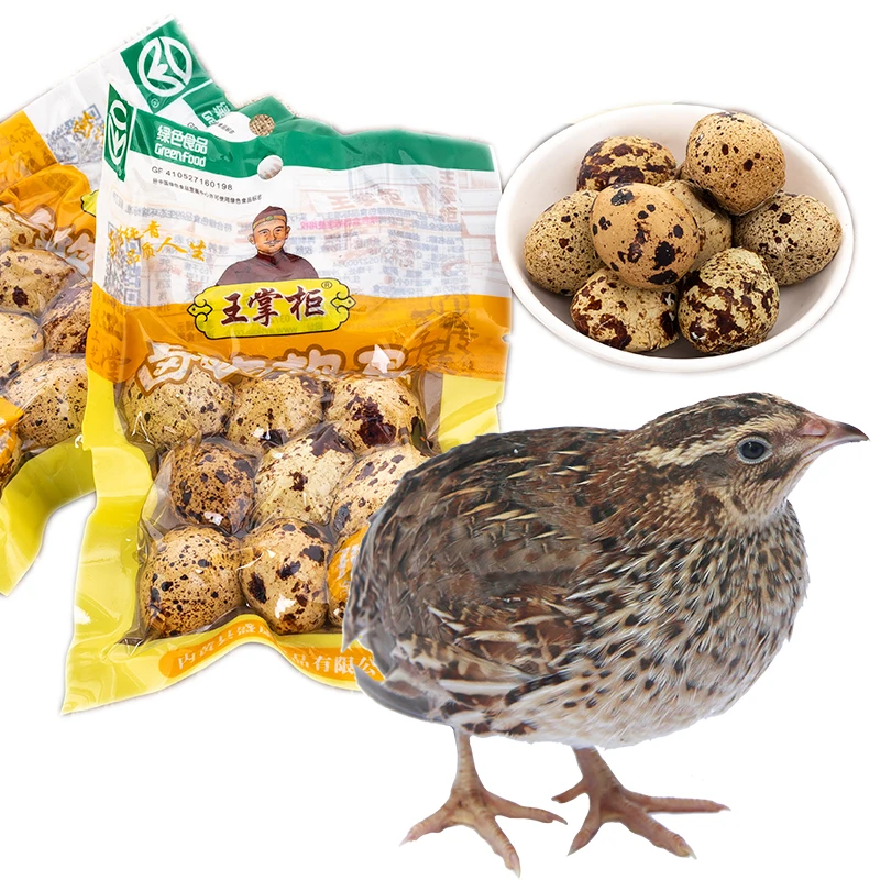 China wholesale Canned Quail Eggs in Water for sale canned quail eggs