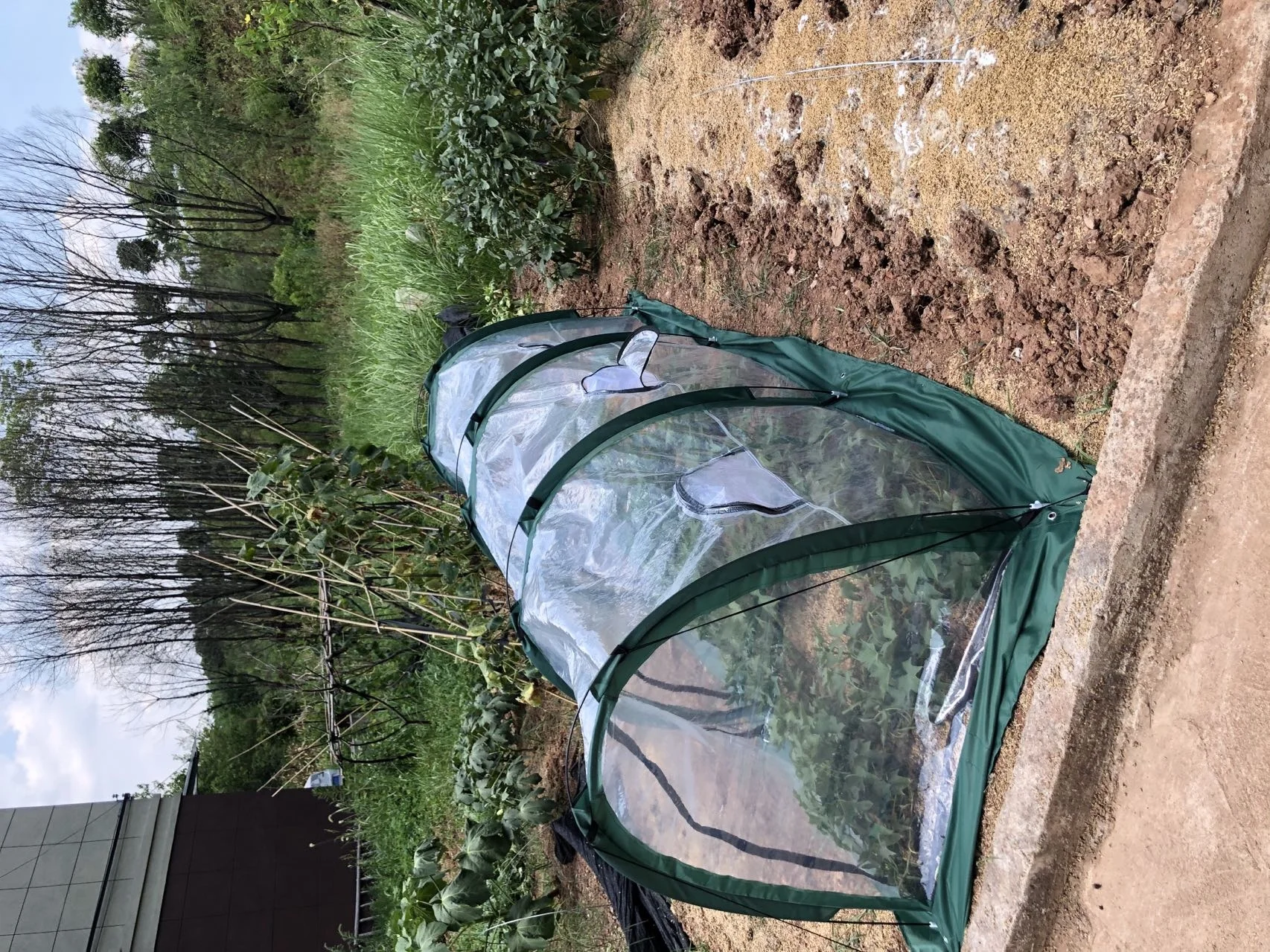 2022 Greenhouse Home Outdoor Flower Plant Gardening Winter Shelter Waterproof Anti-UV Tunnel Vegetables Greenhouse