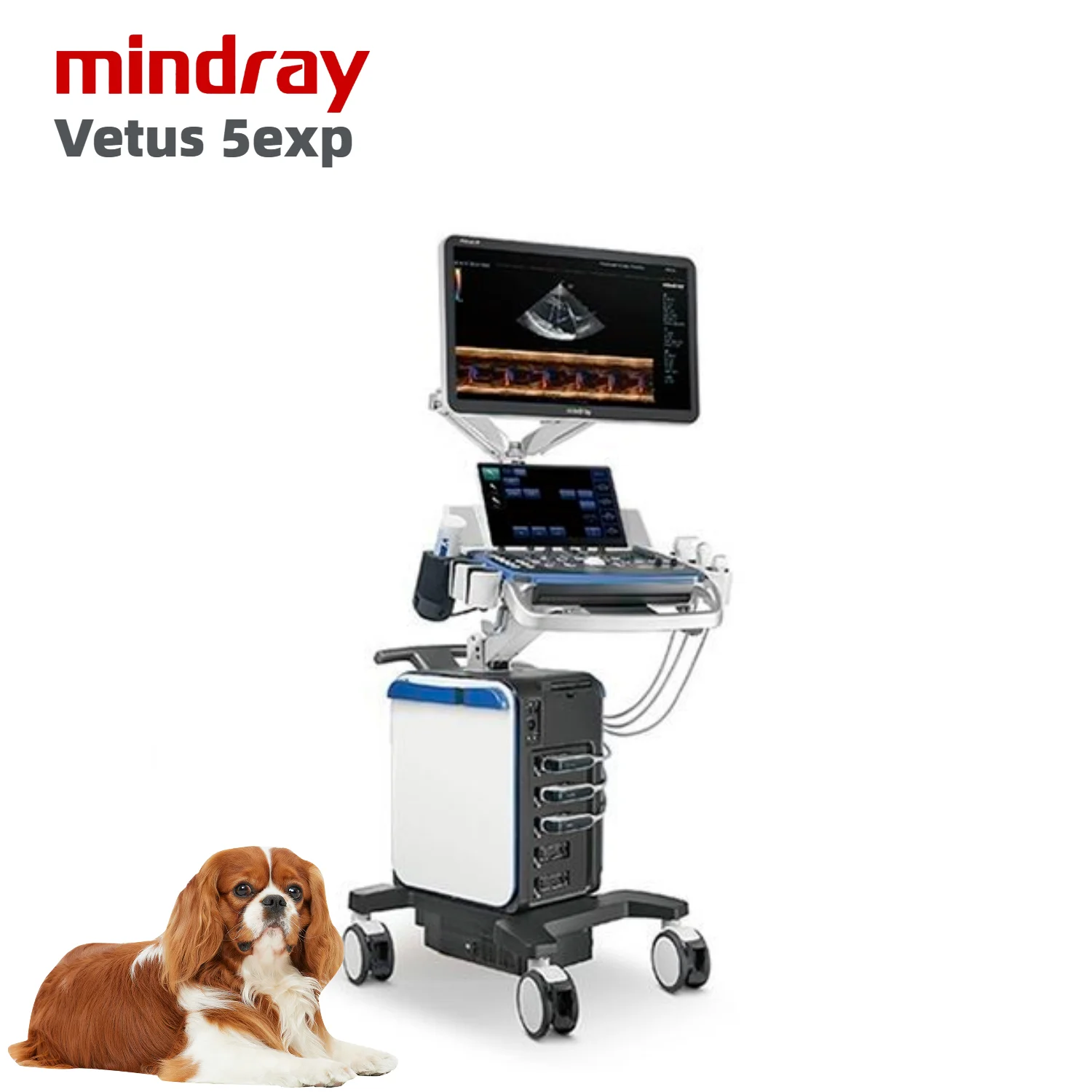 Mindray Vetus 5exp Vet Digital Ultrasound System 3D 4D veterinary ultrasound scanner ultrasonido mindray