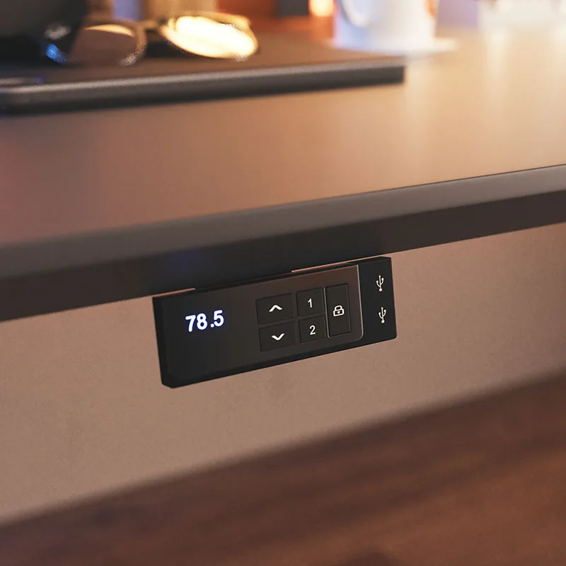 Customize Office Table Dual Motor Luxury Quality Gaming Height Adjustable Sitting Standing Desk