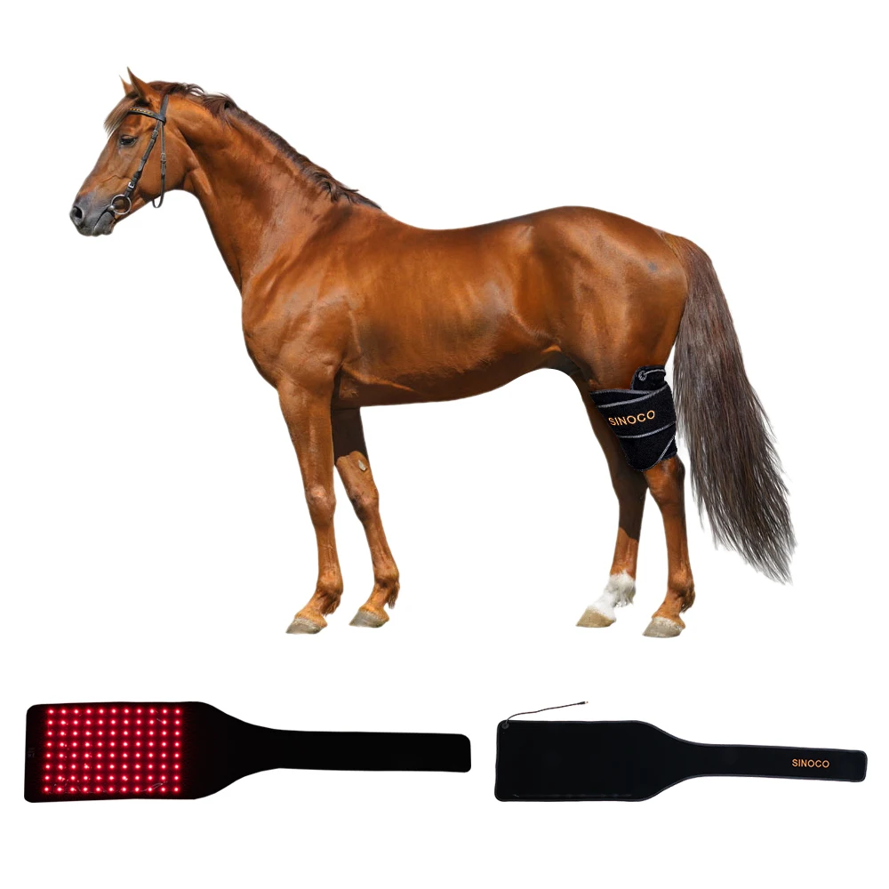equine red light therapy red light therapy back wrap red light therapy horses